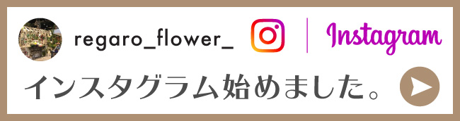 インスタグラム始めました。